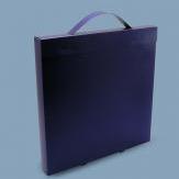 AF 2361 Kofferbox