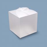 RE 0421 Schleifenbox